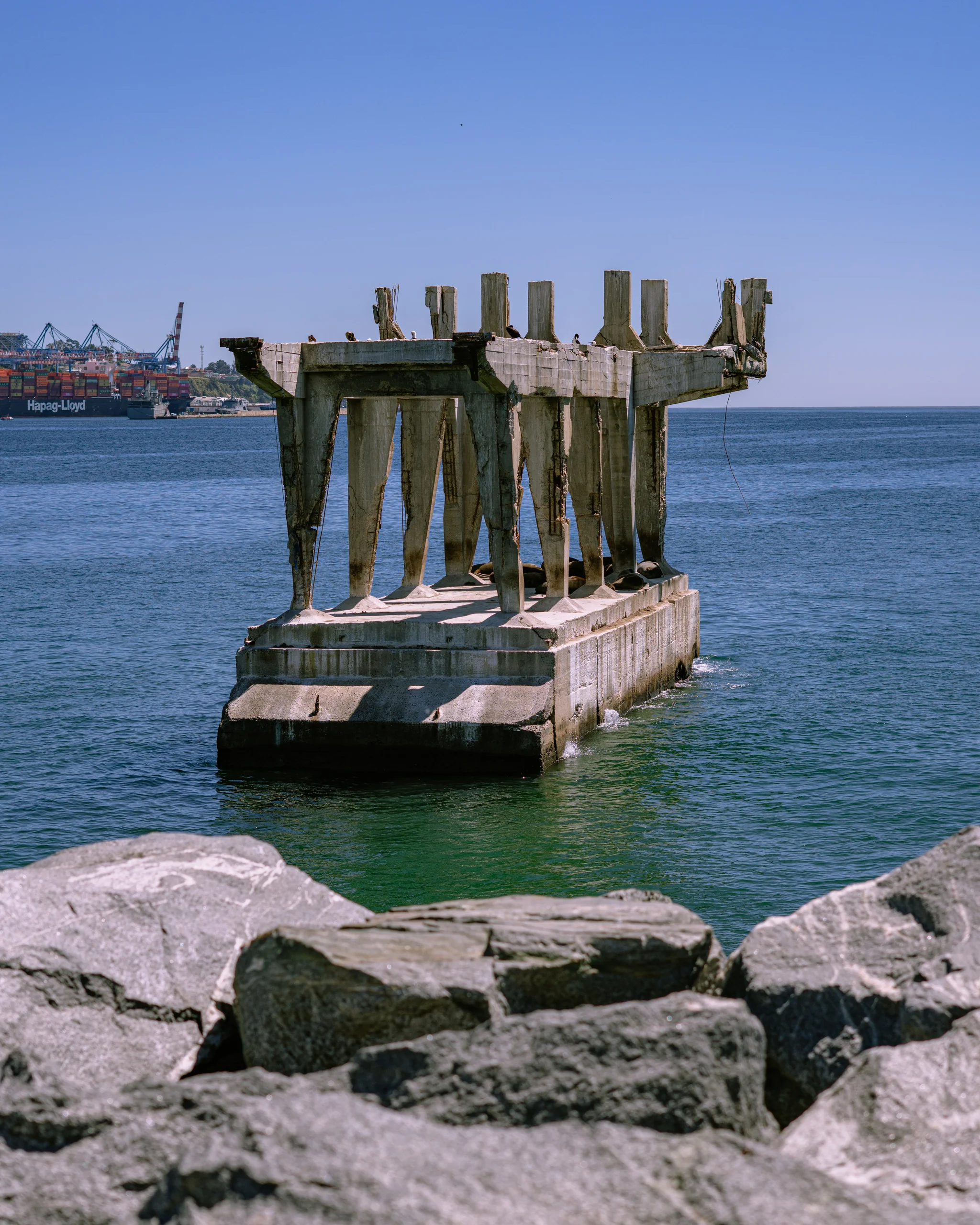 Estructuras de concreto corroídas, lobos marinos y gaviotas compartiendo la misma plataforma sobre el mar.