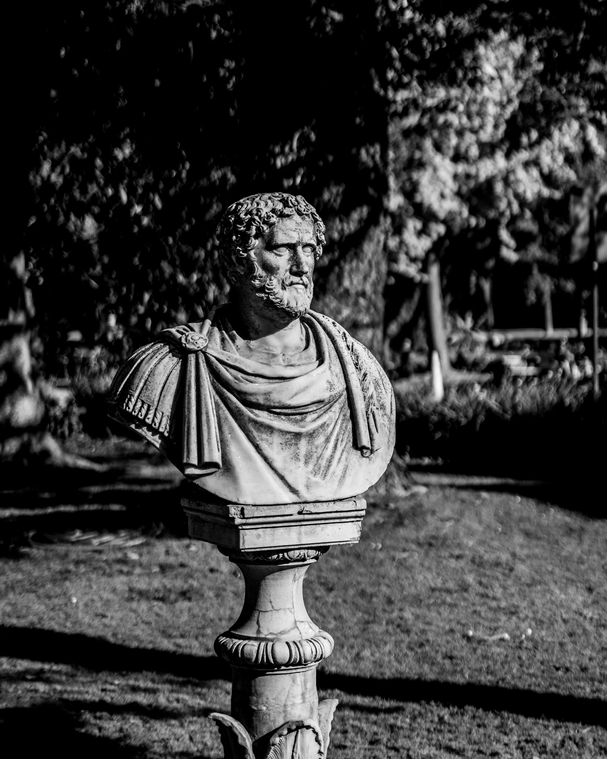Un busto clásico en blanco y negro en medio del jardín: historia detenida en piedra rodeada de hojas.