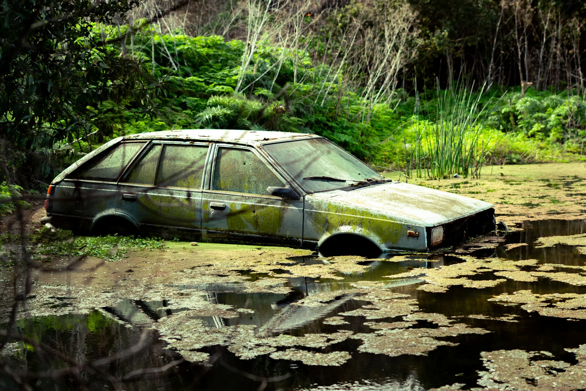 Un auto viejo y oxidado, medio sumergido en un estanque lleno de verde. La naturaleza reclamando, de a poco, lo que alguna vez fue puro fierro y ruido.