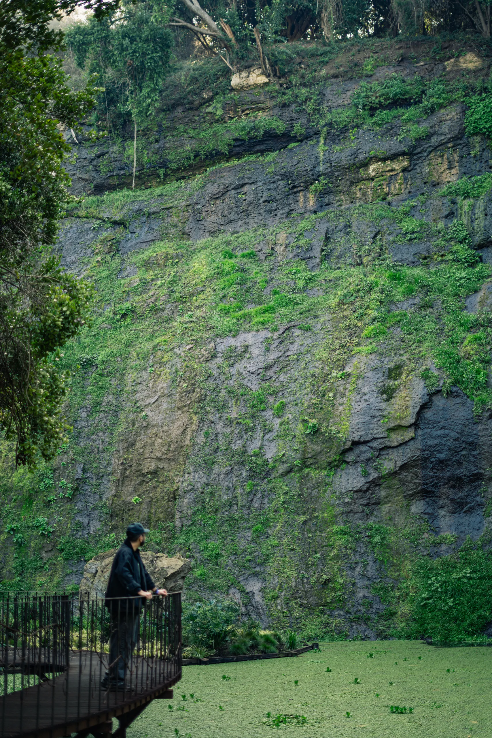 Figura solitaria contempla el estanque verde ante un muro rocoso cubierto de vegetación